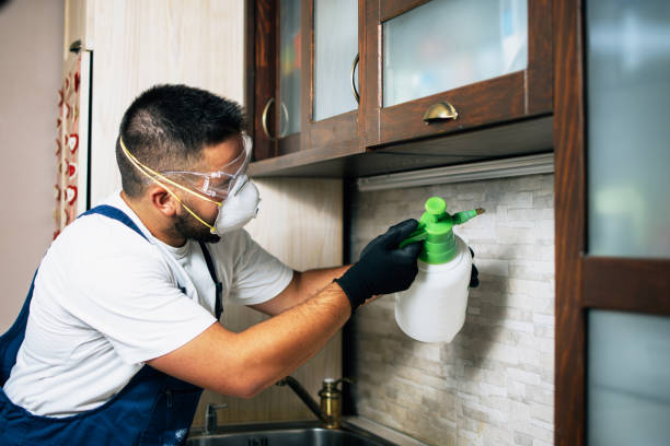 Best Best Pest Control Companies  in Holly Hill, SC