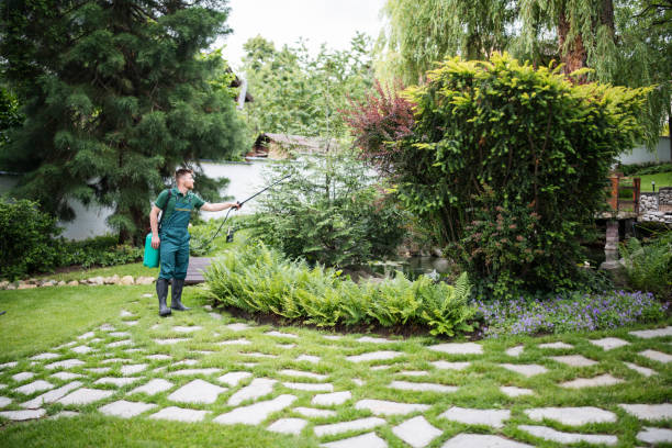 Best Mosquito Control Services  in Holly Hill, SC