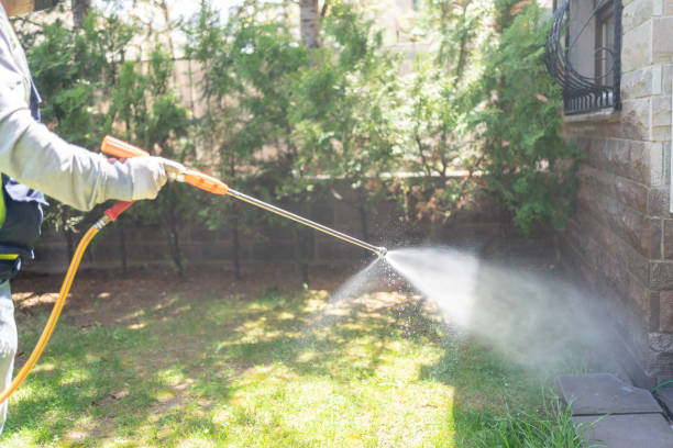 Professional Pest Control in Holly Hill, SC
