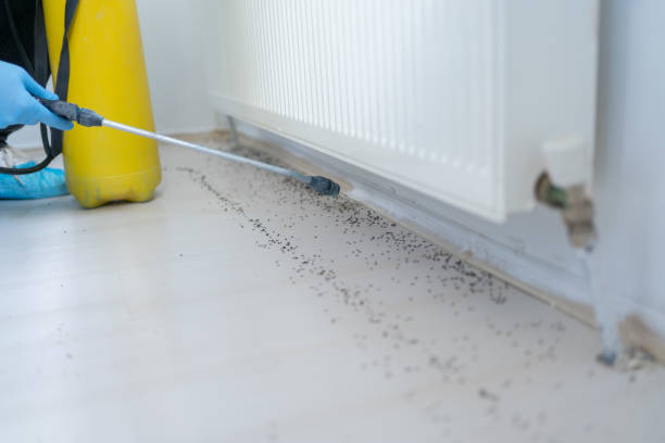 Best Cockroach Control Services  in Holly Hill, SC
