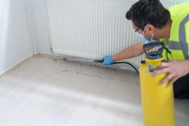 Best Affordable Pest Control Services  in Holly Hill, SC
