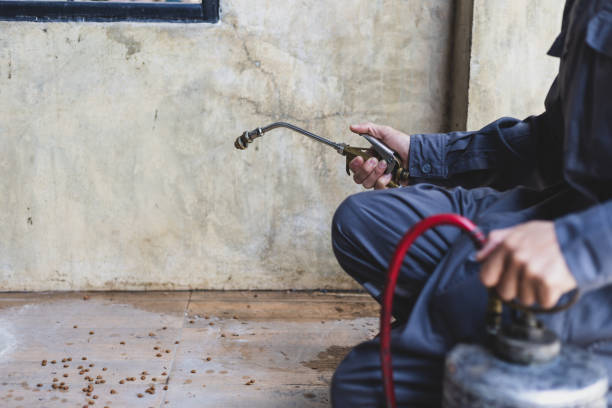 Best Pest Control Cost  in Holly Hill, SC